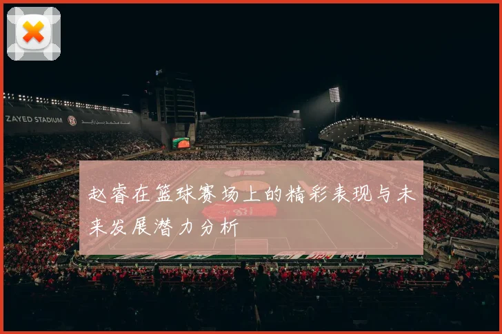 赵睿在篮球赛场上的精彩表现与未来发展潜力分析
