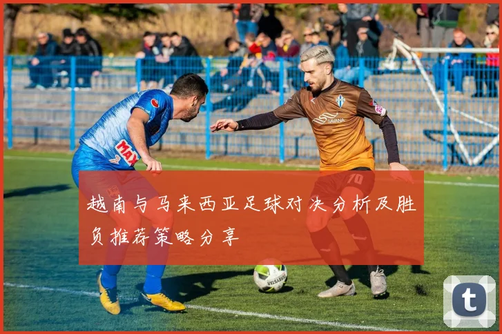 越南与马来西亚足球对决分析及胜负推荐策略分享