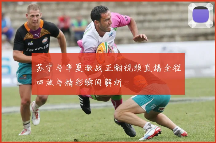 苏宁与华夏激战正酣视频直播全程回放与精彩瞬间解析